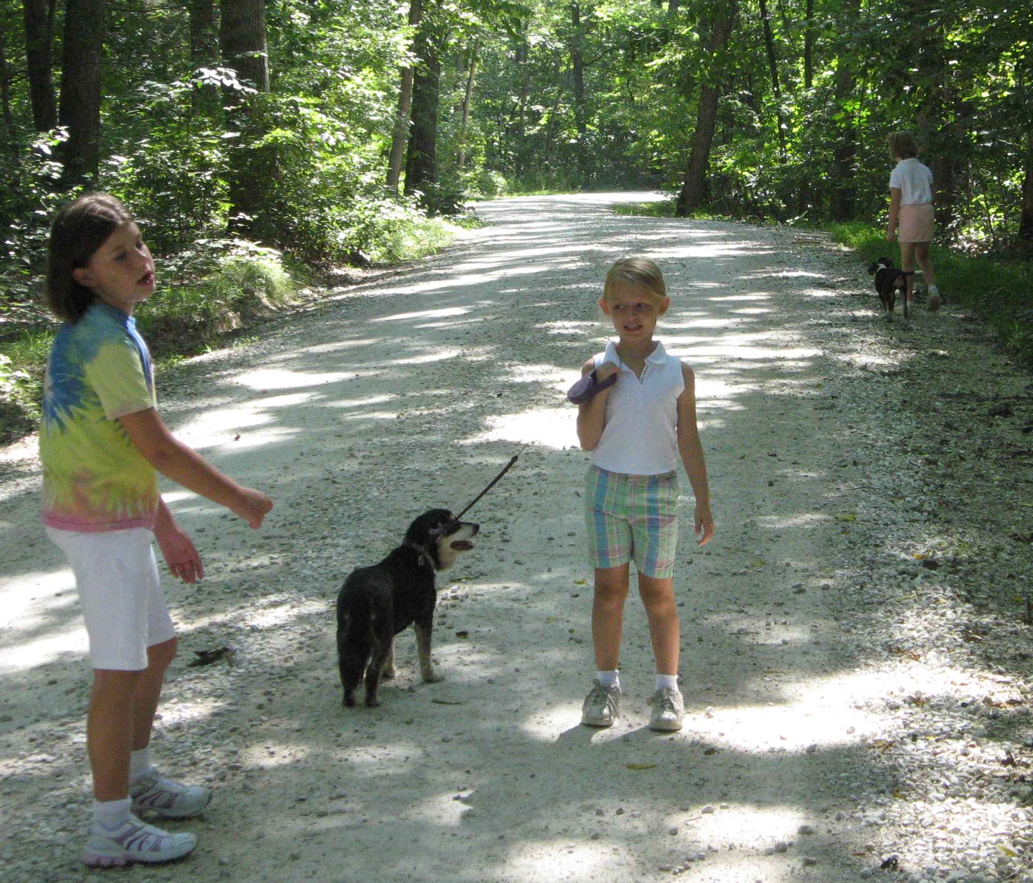 2009-08-08 cousins walking dogs.jpg